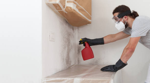 Professional Attic Mold Removal technician working in Corolla, NC